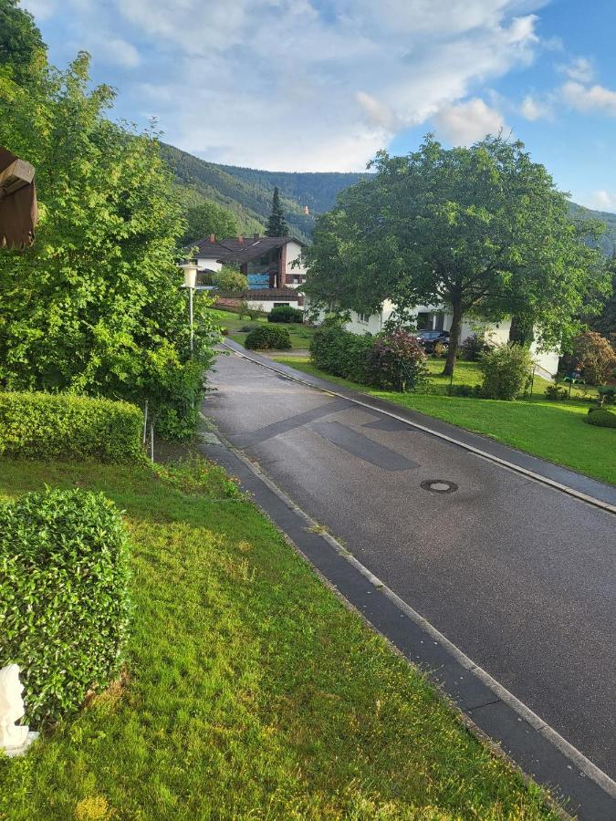 Ferienwohnung Freudenberg Freudenberg am Main Luaran gambar